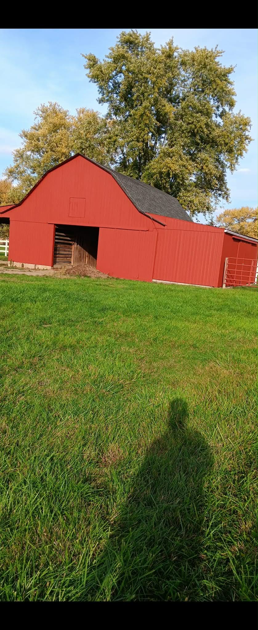 Stair railing refinished white and wood